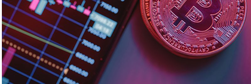 Vass Foto Blog interior - 1